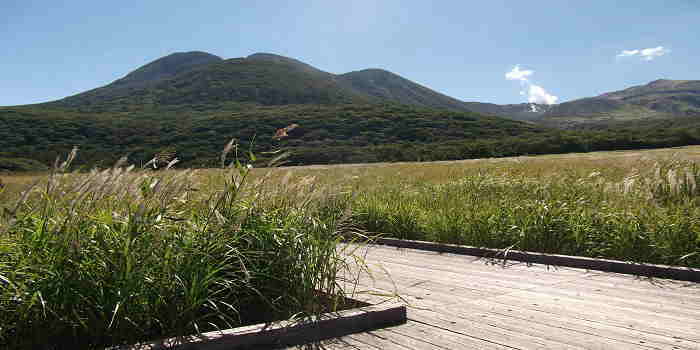 タデ原湿原遊歩道（ラムサール条約登録）