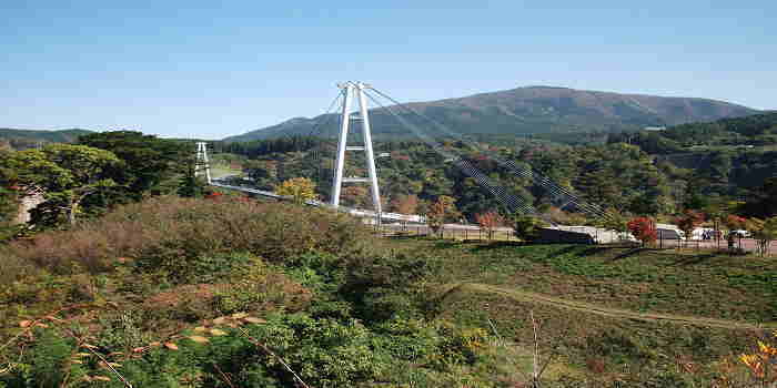 夢　大吊橋